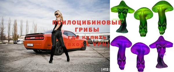 ГАЛЛЮЦИНОГЕННЫЕ ГРИБЫ Алексин