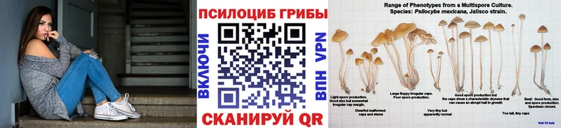 Галлюциногенные грибы прущие грибы  Гаврилов Посад 